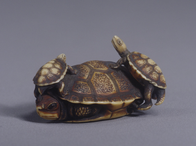 Secrets of the Shell