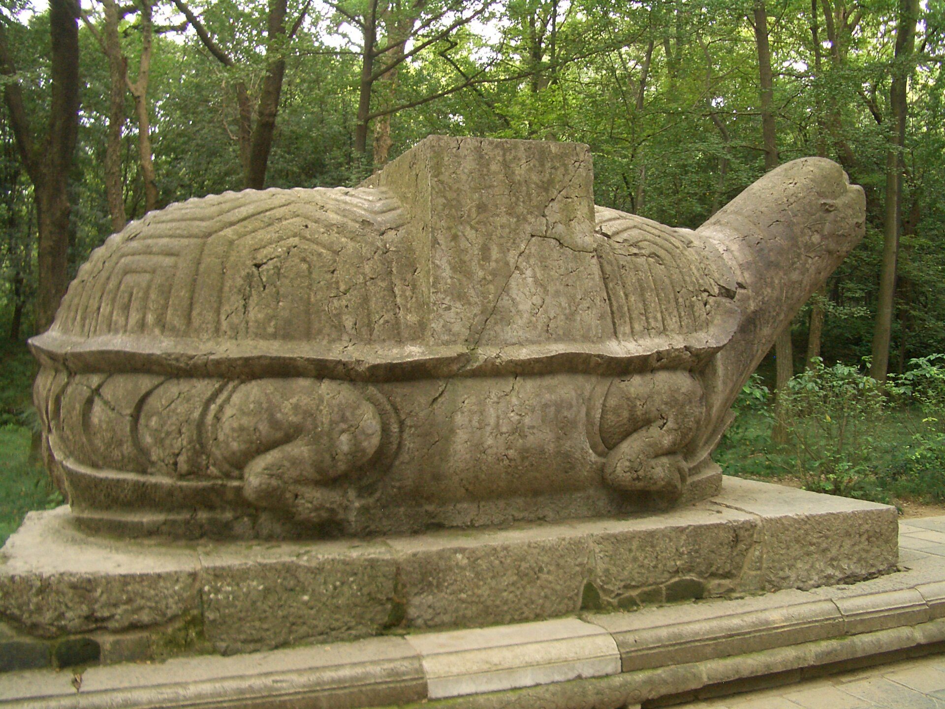 Turtles & Myth
